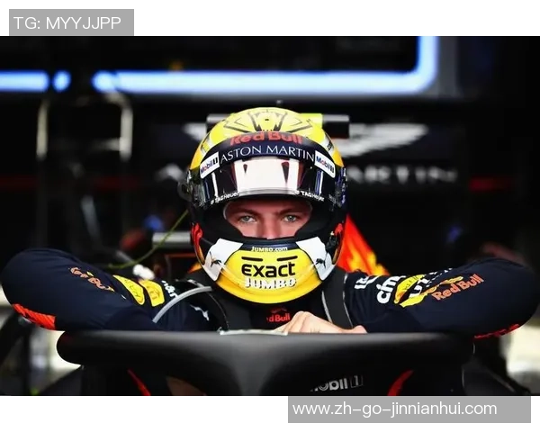 FIA遭受黑客侵略　维斯塔潘隐秘私家材料险被外泄