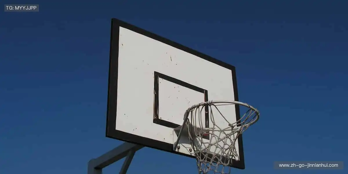 高清画质，畅享赛事！🎥🏒